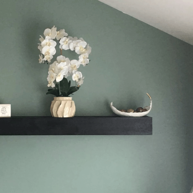 Black shelf with white orchid plant and decorative bowl against a soft green wall.