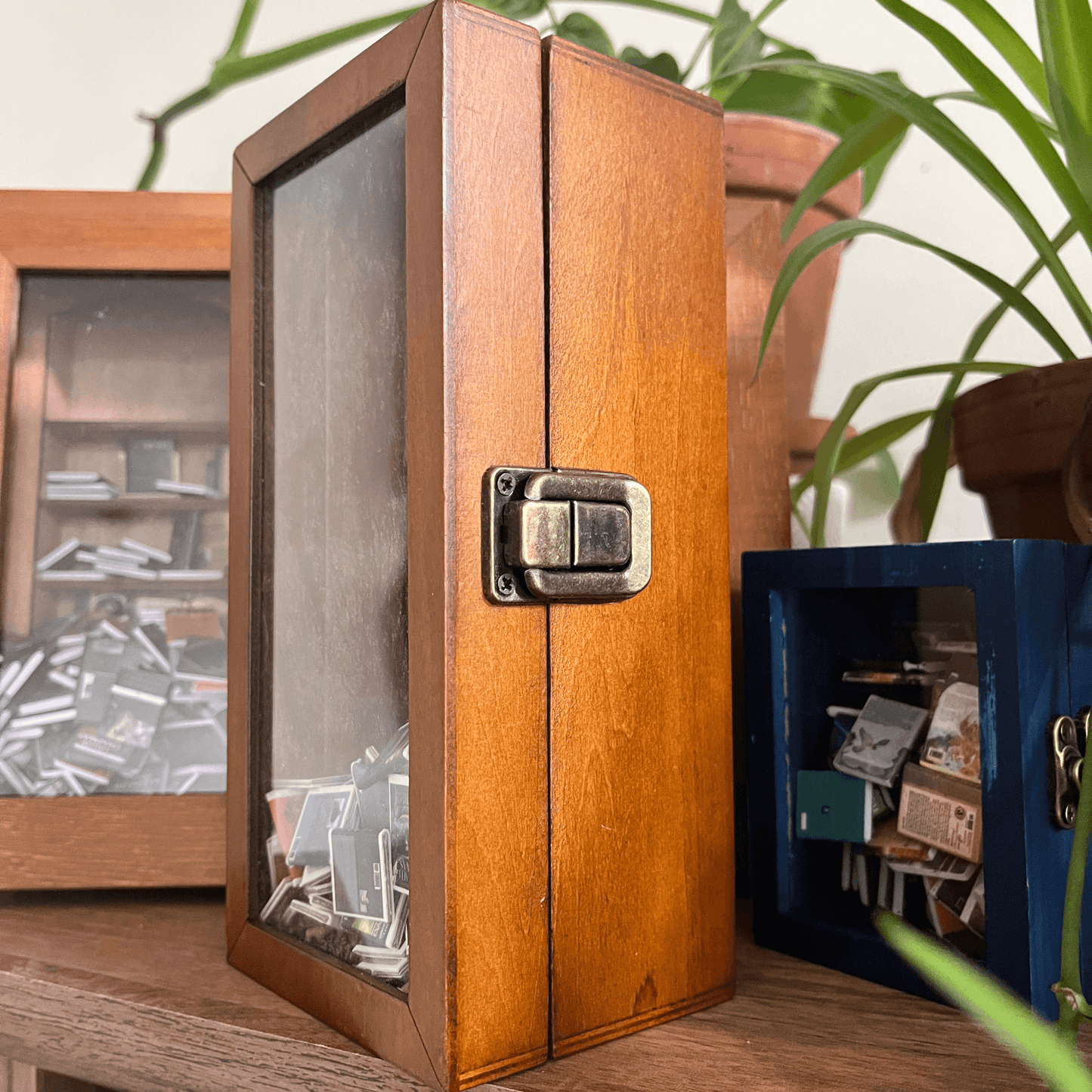Wooden display case showcasing mini books, part of the Four Anxiety Bookshelf Bundle collection.