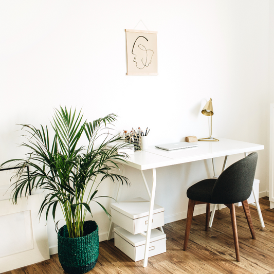 A well lit, organized home office.