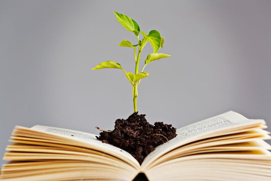 A plant grows from the pages of an open book. This signifies the benefits of Anxiety Self Help Books.