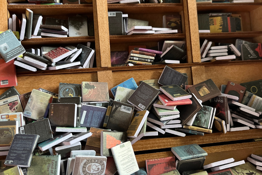 Original Anxiety Bookshelf filled with mini books.