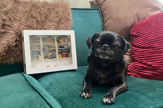 White Anxiety Bookshelf with Books sit beside our lovely pug, Ruby.