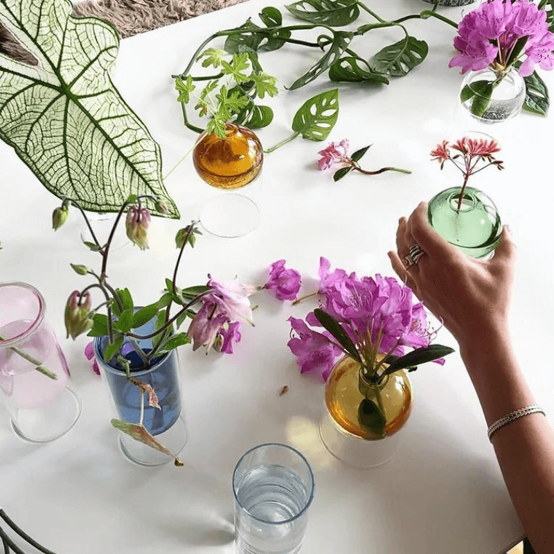 Colorful Glass Orb Bud Vases- Decorative Spheres for Propagation
