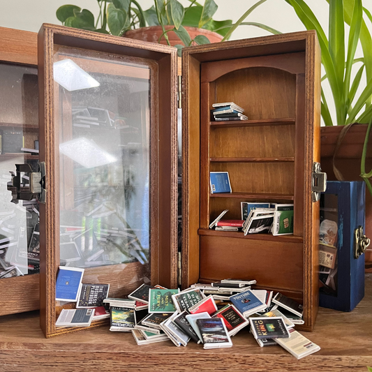 Anxiety Bookcase displayed open with its mini books