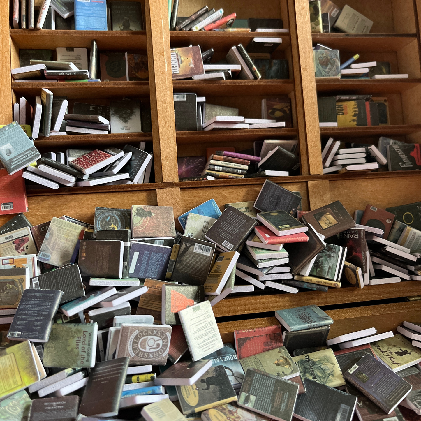 Close up of Anxiety Bookshelf books inside the Anxiety Bookshelf.