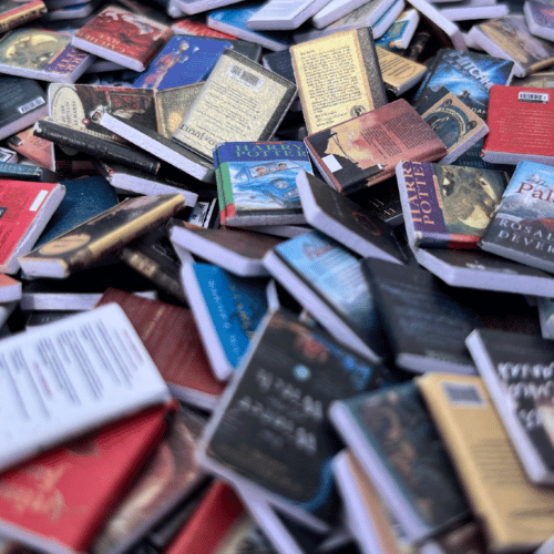 Books Only for the Anxiety Bookshelf