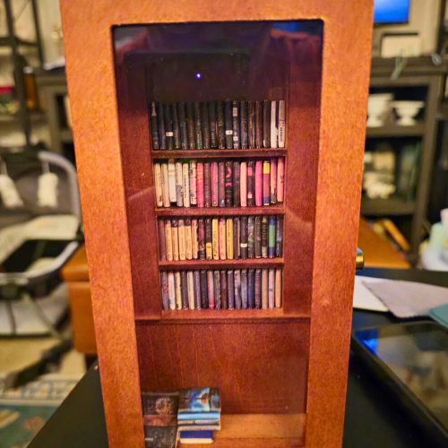 Anxiety Bookcase mini antique bookcase with a clear display cover which opens to display mini books.