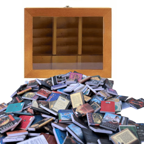 Empty Anxiety Bookshelf is shown with the mini books in front.