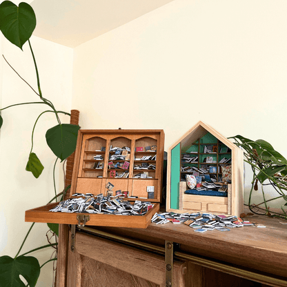 Anxiety Bookshelf and Anxiety Book Room are imaged as Bookshelf Decor. Surrounded by mini books and green houseplants.