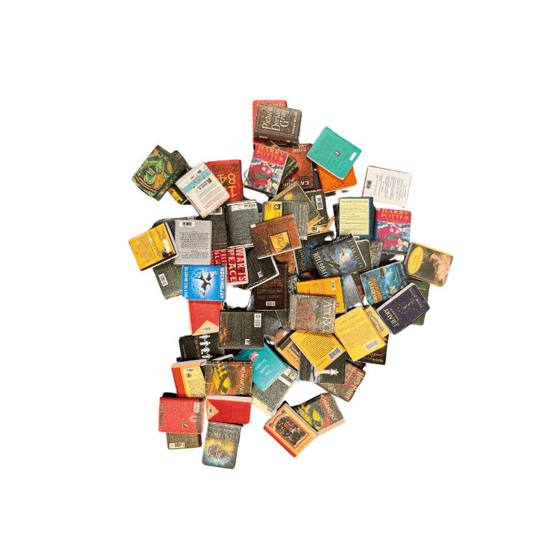 Mini books for the anxiety bookshelf are displayed over a white background.