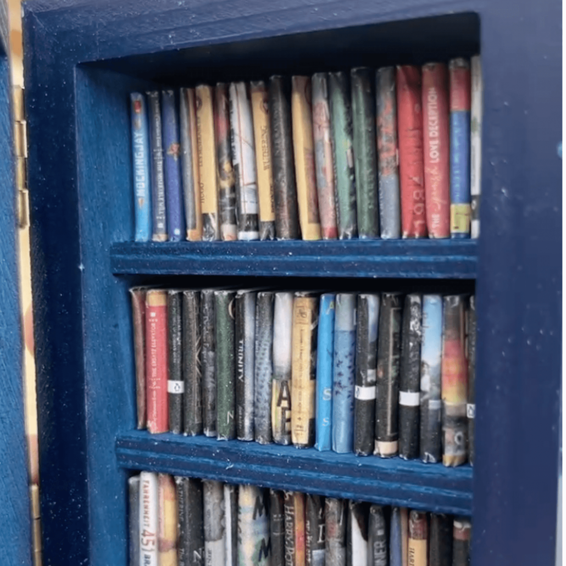 Close up of the tardis blue pocket anxiety bookshelf